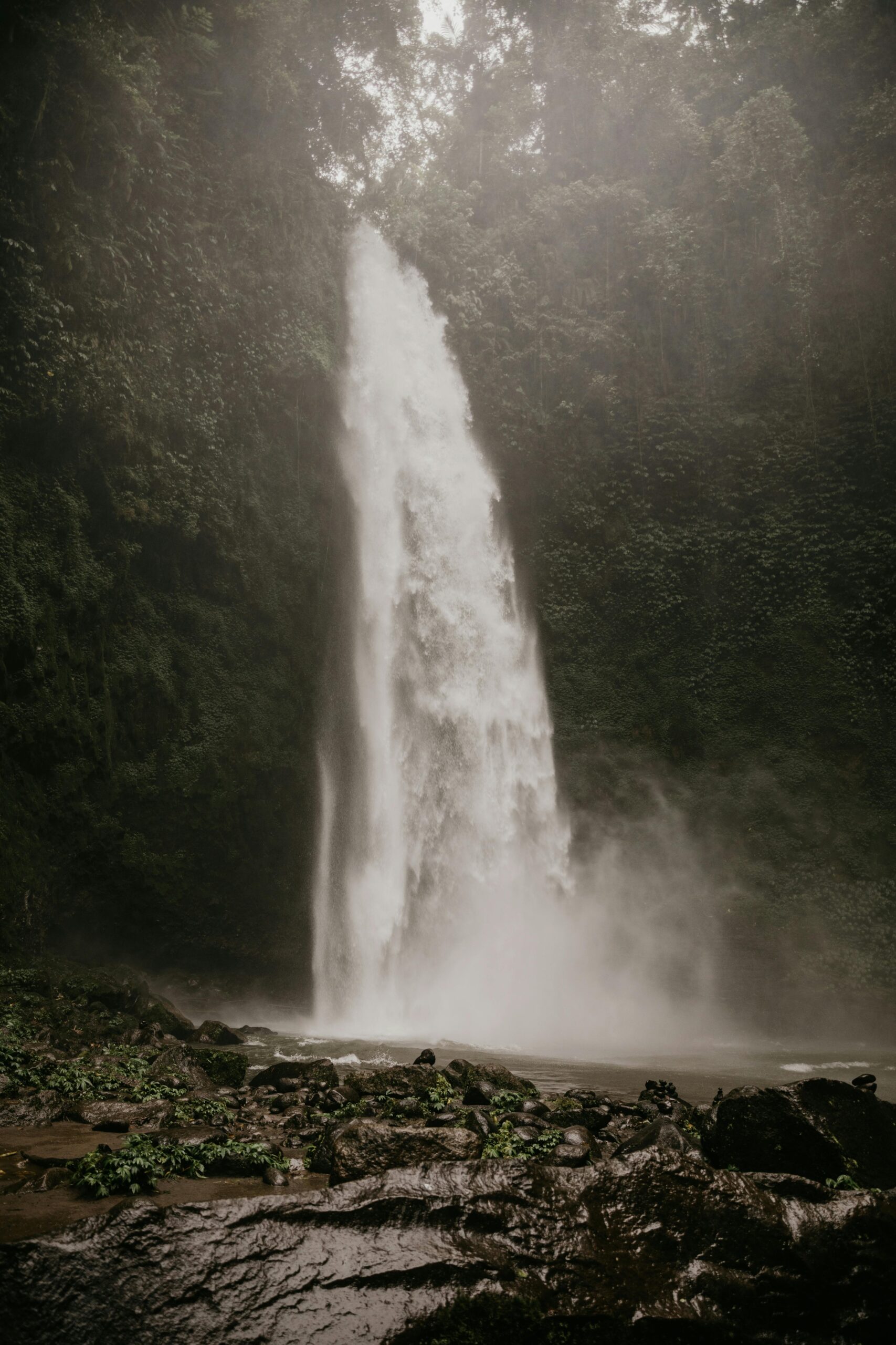 Eco-Tourism on the Rise: How Sustainability Is Shaping Travel Choices